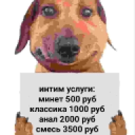 dir4i