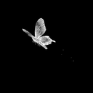ddelfa1102