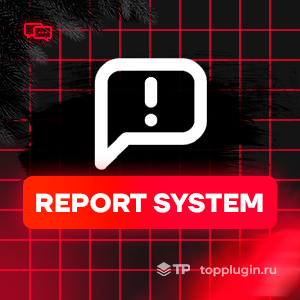 Report System